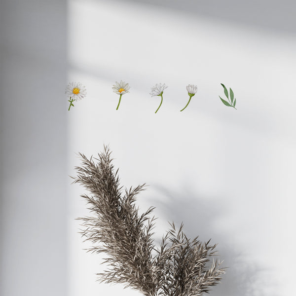 Daisy Wall Decals, Removable Wall Decal, Flowers Wall Decal, Bohemian Wall Decal, Girls Room Decor, Daisy Wall Stickers, Daisy Stickers