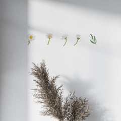 Daisy Wall Decals, Removable Wall Decal, Flowers Wall Decal, Bohemian Wall Decal, Girls Room Decor, Daisy Wall Stickers, Daisy Stickers