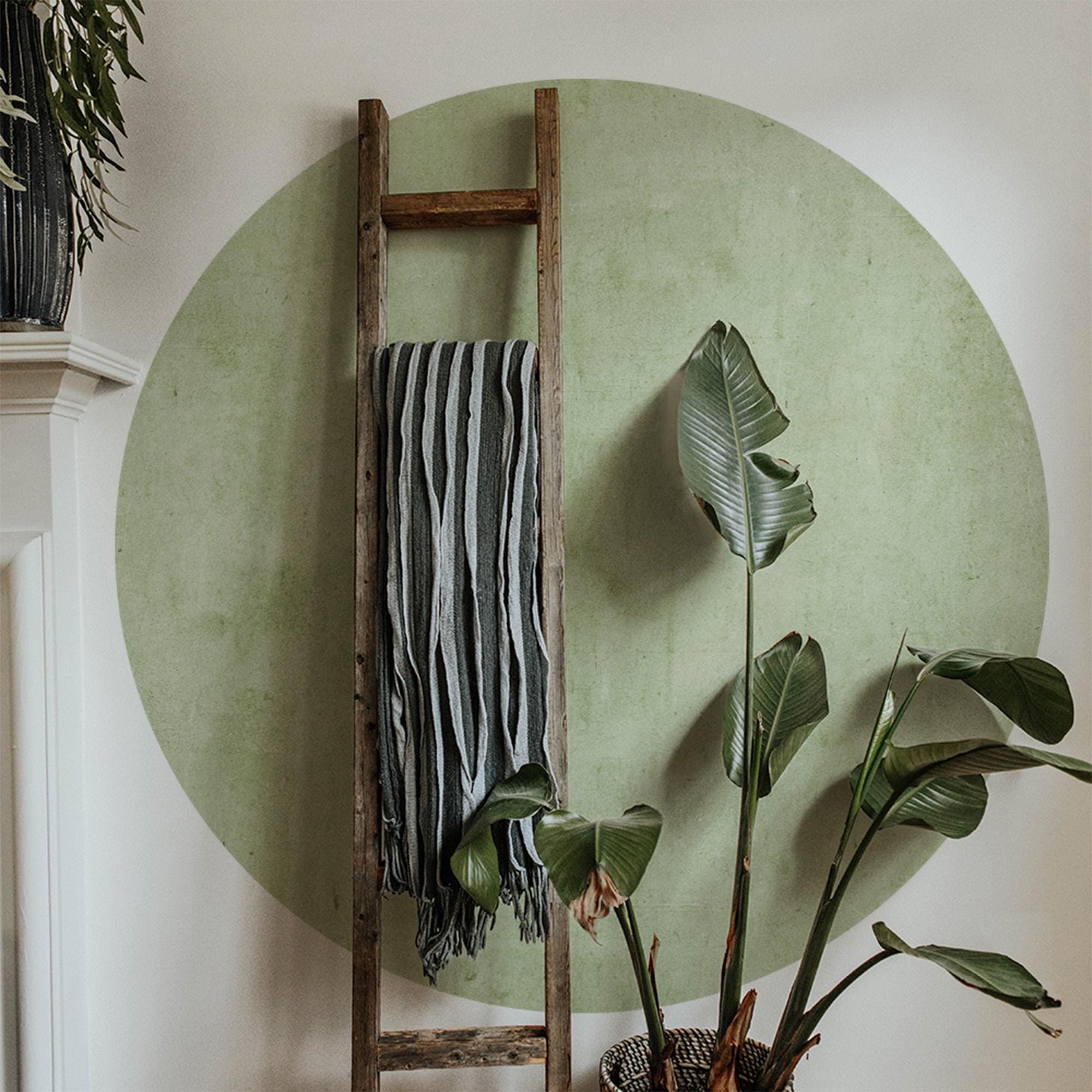 Watercolor sage green circle wall decal behind a wooden ladder in boho living room