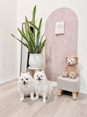 Personalized Arch Wall Decal: Modern Farmhouse Color Block Sticker